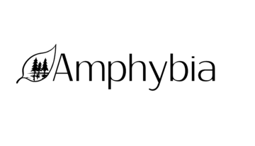 Amphybia – Consultant en environnement
