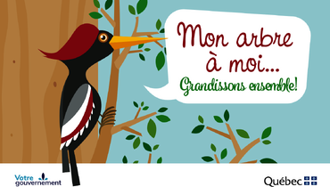 Distribution d'arbres