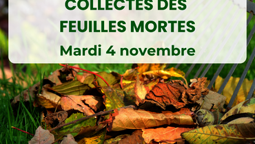 Collecte des feuilles mortes